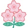 Japan Rugby Team