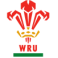 Wales Rugby Team